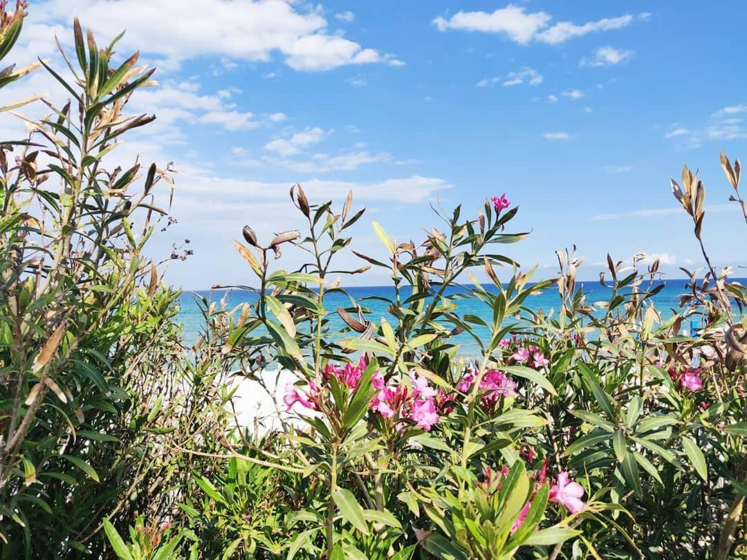 Overlookingsea Lido di Noto Exterior foto